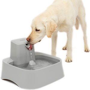 PetSafe Drinkwell Water Fountain for Pets